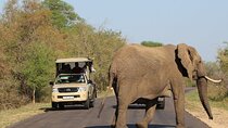 2 Days Kruger Fly-in Big 5 Safari Tour from Johannesburg