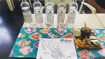 Explore Mexico Finest Agave Spirits and Cocktails