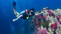 Phuket Scuba Diving Adventure for All Levels with Transfer