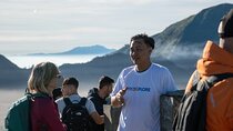 From Probolinggo: Bromo Sunrise Guided Group Tour
