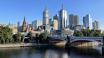 Yarra River Nature Trail Walk