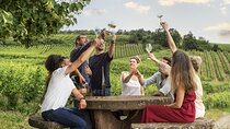 Private Alsace Wine Tour from Strasbourg and area