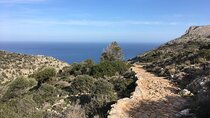Chania to Irini Gorge Hike & Sougia South Bank Beach Private Tour