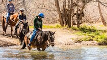 Sedona Horseback Rides At Dead Horse Ranch with River Crossing