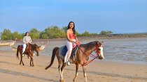 1 Hour Horse Riding Tour On The Beach Krabi