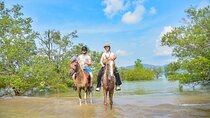 2 Hour Horse Riding Tour On The Beach Krabi