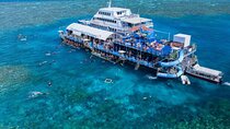 Moore Reef Day Tour with Dive from Cairns