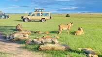 3 Days Group Joining Safari to Maasai Mara in a 4WD JEEP
