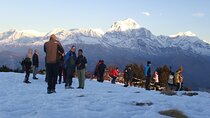 7 Days Tour on Poon Hill Trek and Chitwan Jungle Safari 