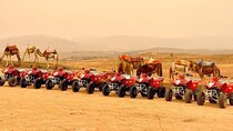 Quad Biking Half Day And Camel Ride In Sunset