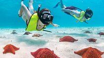 Cayman 3 in 1 Combo: Starfish Point, Stingrays and Reefs