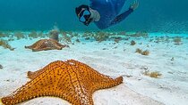 Cayman Combo Tour: Stingrays, Starfish Point and Crystal Caves