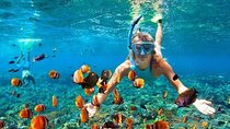 Snorkeling and Shopping Tour in Montego Bay with pick up