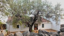 Gourmet oil tourism private visit to the olive grove, tasting, house and factory