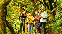 Tenerife: Hiking Tour in Anaga & Enchanted Forest with Pickup