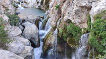 Kourtaliotiko Gorge and South Crete Private Tour