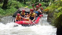 Bali Ayung River Rafting with Lunch and Optional Transfers