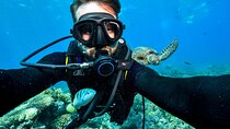 Marsa Mubarak Snorkel & one intro Dive With Lunch :Marsa Alam
