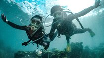 Intro Scuba Diving for beginners With (Lunch,Transfer) – Hurghada