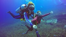 Beginner's Scuba Diving Adventure, Two Dives & Lunch :Marsa Alam
