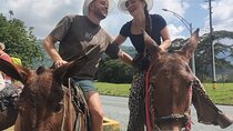 Horseback Riding Adventure from Medellin