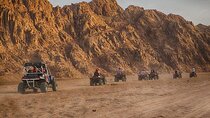 Private Safari Tour & Camel Ride in Sinai Desert of Sharm