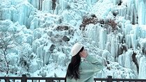 Eobi Ice Valley, Nami Island & Railbike from Seoul (opt. Garden)
