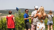Rome: Tuscany & Montepulciano Day Trip with Lunch & Wine Tasting