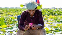 Siem Reap: Lotus Silk Farm - Tour, Lake & Artisan immersion