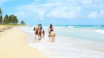 Jungle and Beach Horse Ridding round trip transportatin.