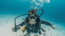 PADI Open Water Course, Advance Your Dive Skills - Hurghada
