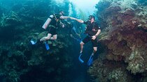 Discover Ocean's Wonders Open Water PADI Course - Sharm El Sheikh