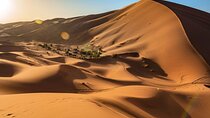 8 Day Sahara Highlights Marrakech to Erg Chegaga and Essaouira