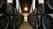 Jerez Winery Tour and wine tasting