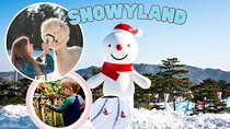 Snowyland, Strawberry Picking & Alpaca World