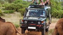 3 Days Amboseli National Park Luxury Safaris on 4x4 Jeep