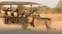 Full Day Hluhluwe Imfolozi Big 5 Game Reserve Tour from Durban