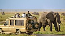 Half Day Tala Game Reserve and Natal Lion Park from Durban