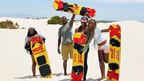 WildX Sandboarding the Real White Sand Dunes Atlantis Cape Town