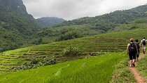 3 Day 2 Night Pu Luong Adventure: Hanoi to Scenic Village Life