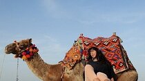 Camel Ride 2-Hours Through the Desert With Transfer :Marsa Alam