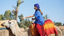Journey Through the Palmeraie, Camel Ride & Transfer - Marrakesh