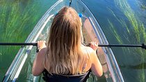 Clear Kayak Day Adventure Tour in San Marcos