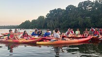 Evening Bat Watching Kayak Tour
