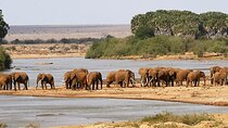 2 Days Hluhluwe Imfolozi and Isimangaliso W Park Tour from Durban