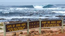 Cape of Good Hope and Boulders Beach full day Group Tour 