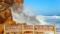 Shared Cape of Good Hope and Boulders Beach Tour
