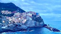 Accessible and Hassle-Free Cinque Terre Private tour from Pisa