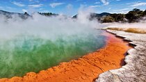 TRIPLE DEAL Wai-O-Tapu, Redwood Forest & Blue Springs Ex Auckland