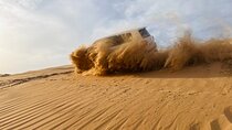 Abu Dhabi Private Dune Drive with Camel Farm Visit